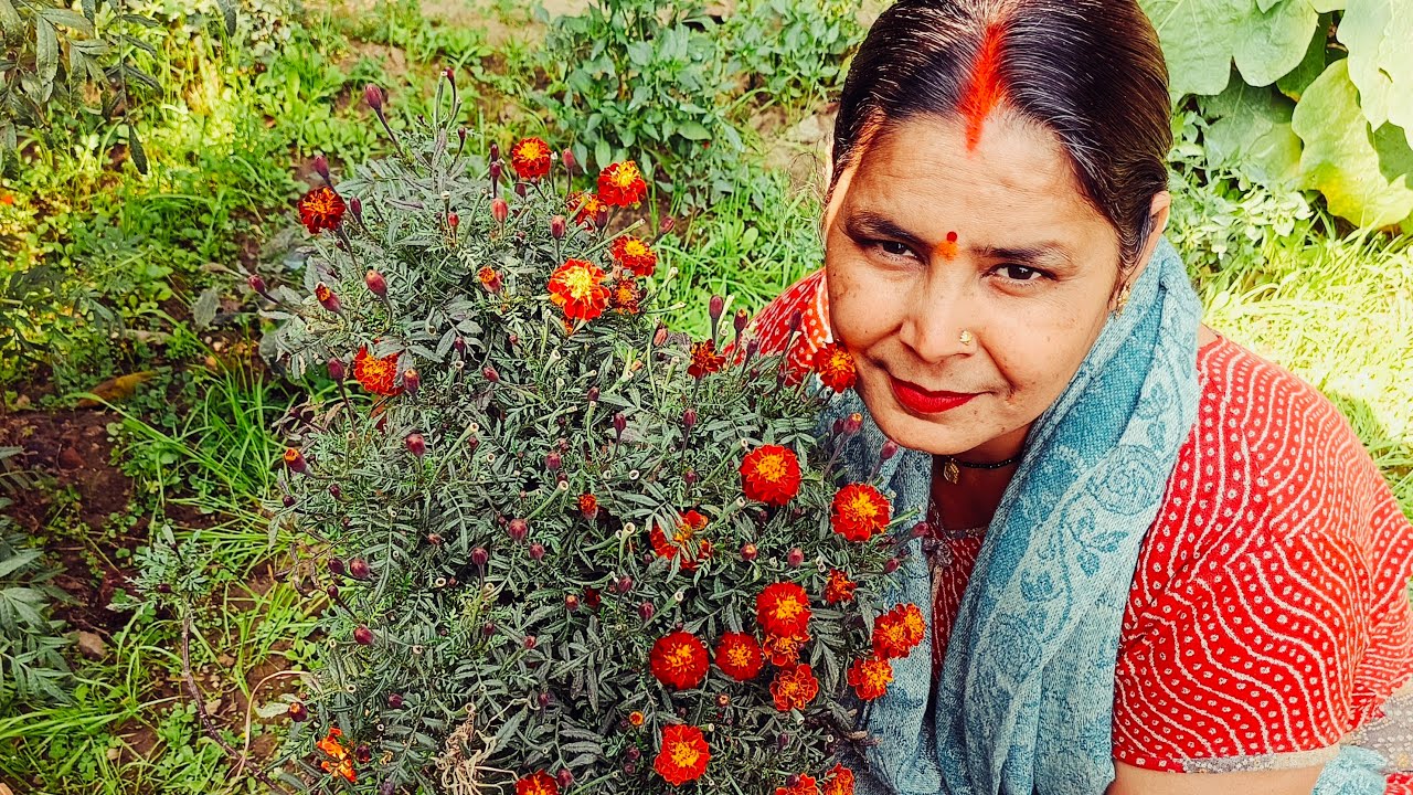 जय श्रीमन नारायण हरि हरि लाइव में सबका स्वागत है