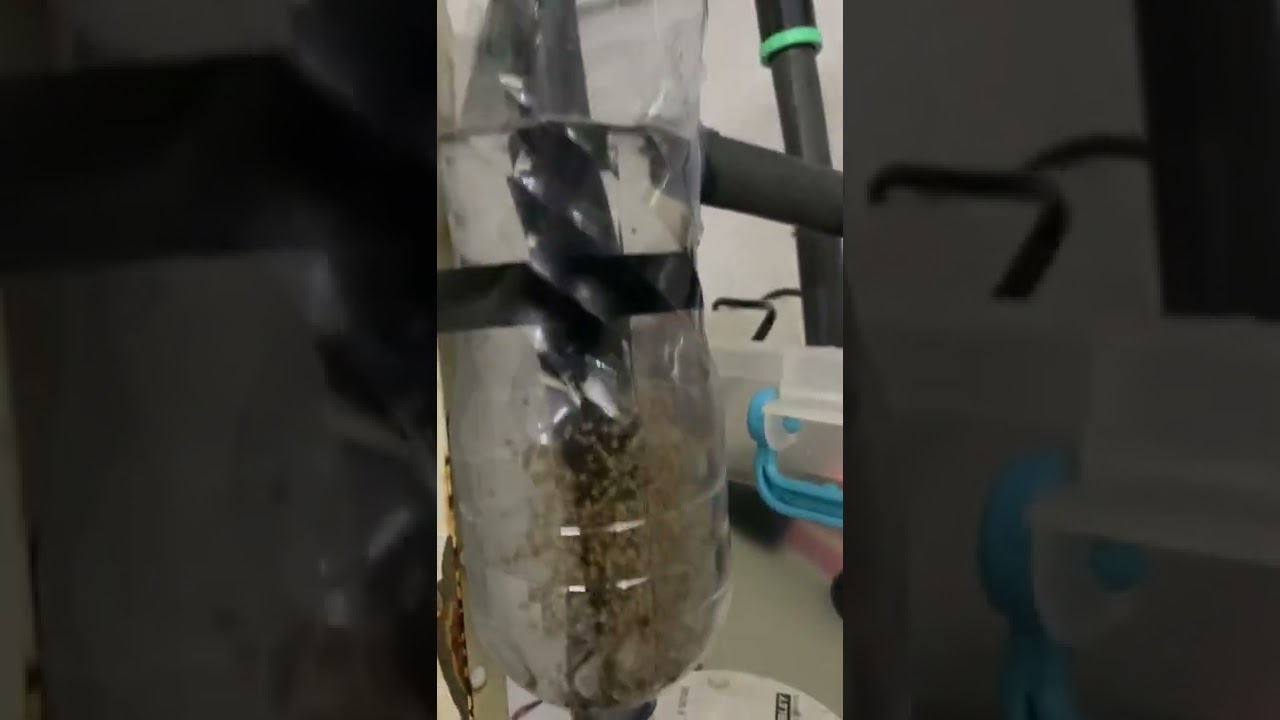 DIY fish egg incubator