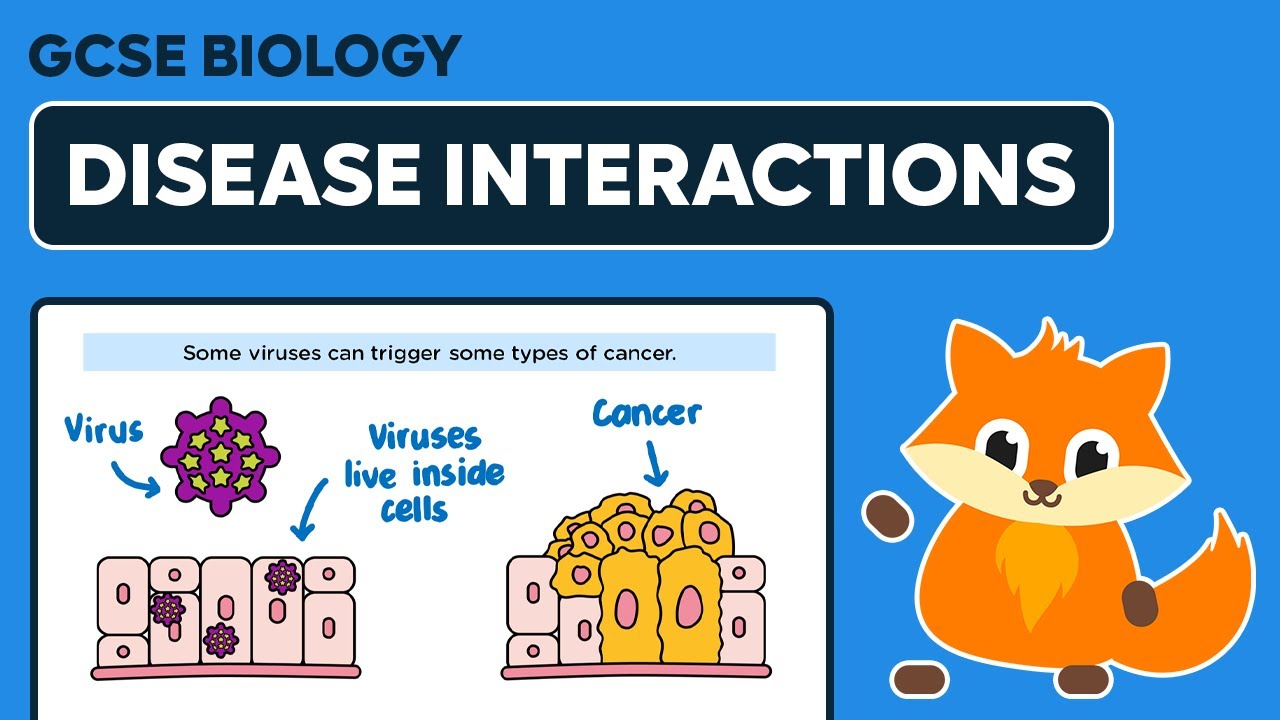 Disease Interactions - GCSE Biology