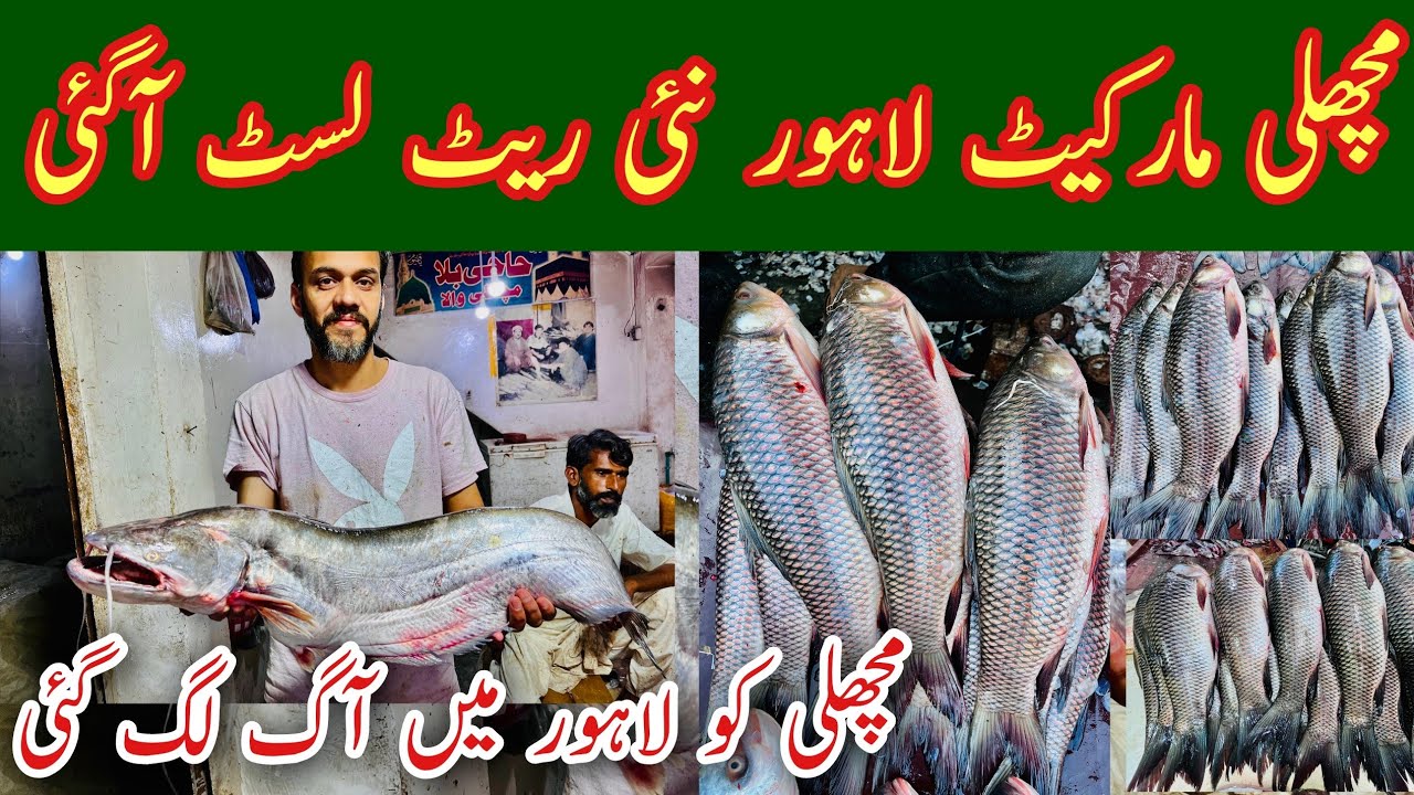 Lahore Fish Market Today, Lahore Fish Market Rates, Lahore Fish Market Rates, Rahu Fish, Mr Phirtu