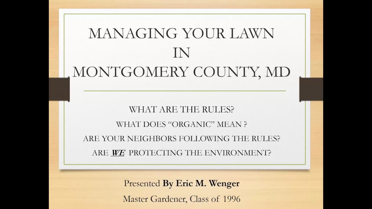 Get Your Grass Back | This is your lawn’s year 0:20:29