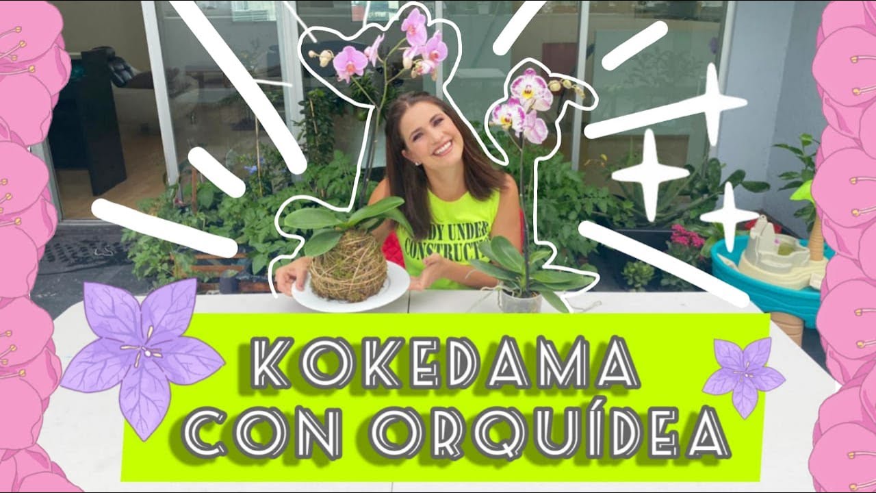 KOKEDAMA DE ORQUÍDEA