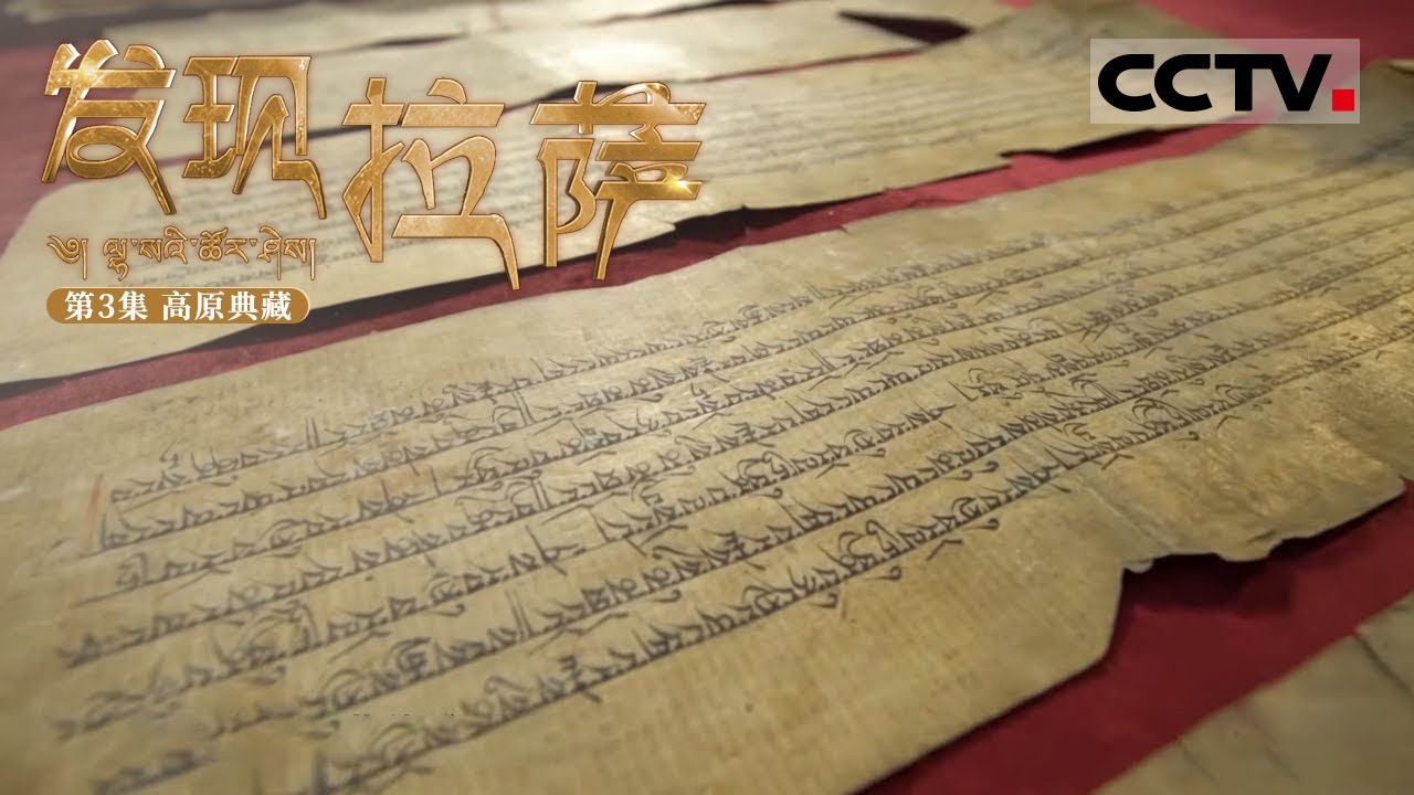 《发现拉萨》第3集 千年不腐的藏纸 原材料竟是一种含剧毒的草药——狼毒草【CCTV纪录】