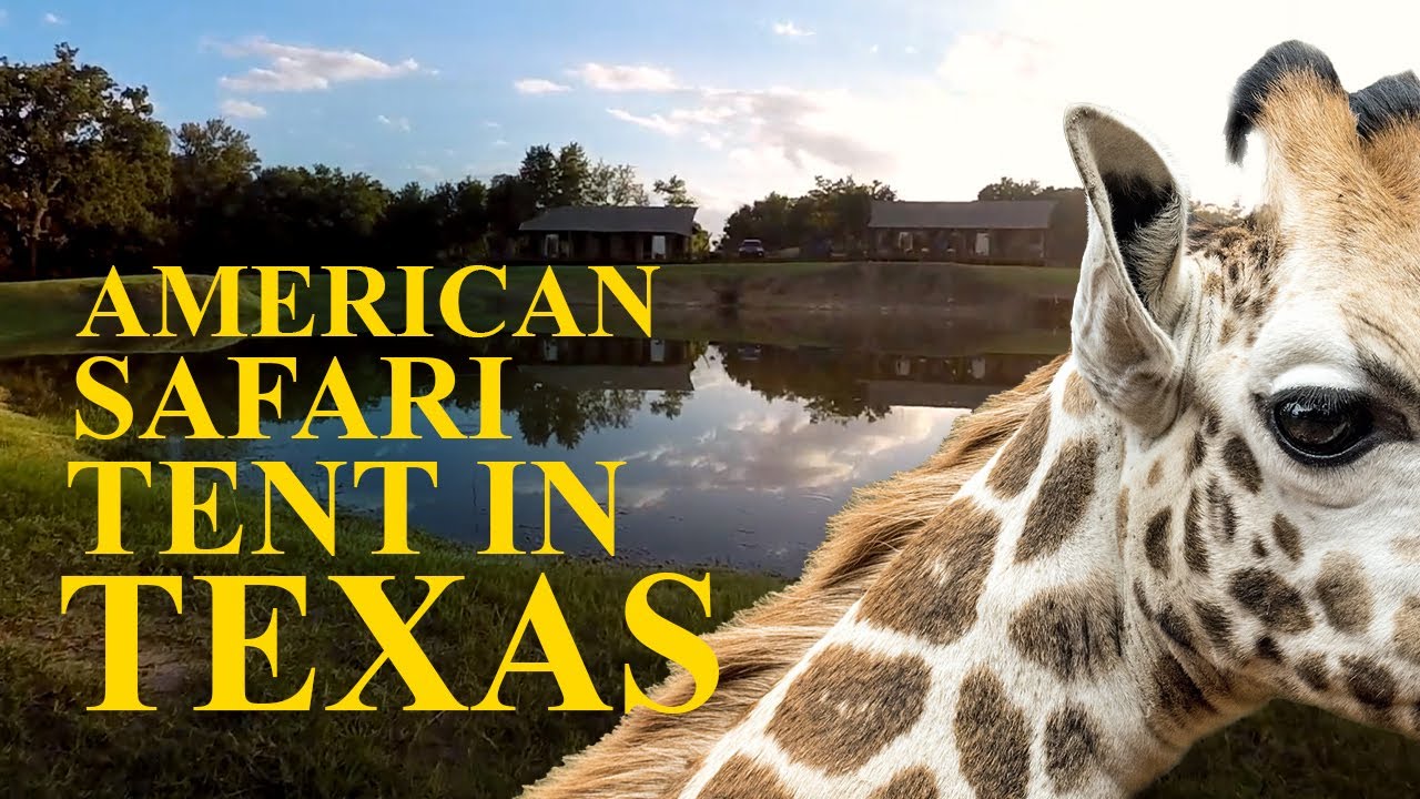 American Safari: Coolest House Tent in Texas