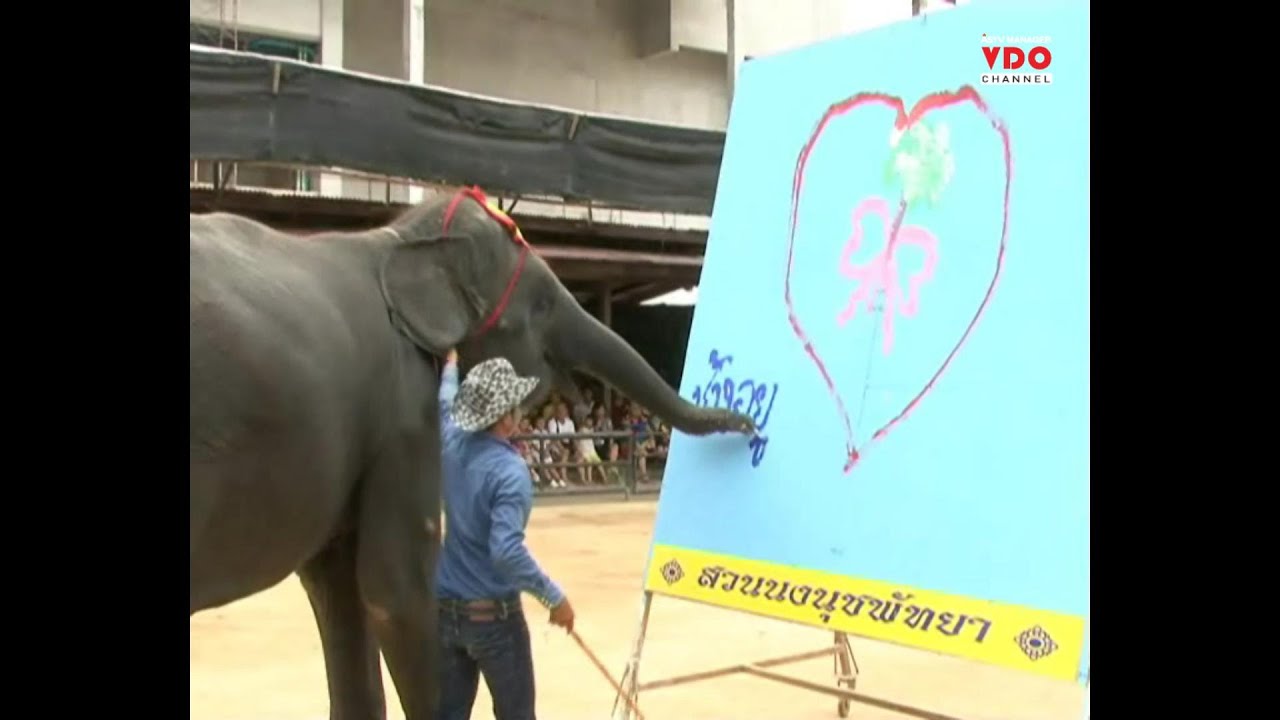 ช้างสวนนงนุชพัทยา ตวัดปลายงวงเขียน “ช้างอยู่ได้ด้วยพระบารมีแม่”