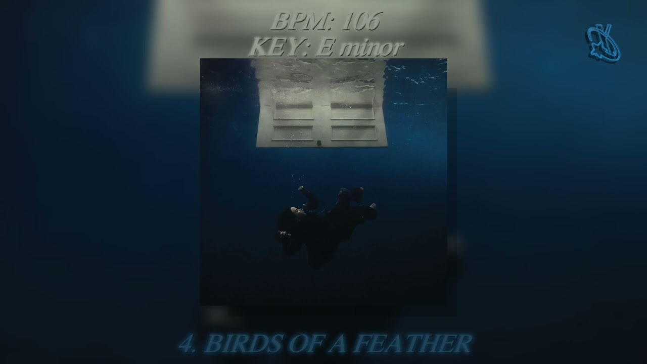 Billie Eilish - BIRDS OF A FEATHER [ACAPELLA]