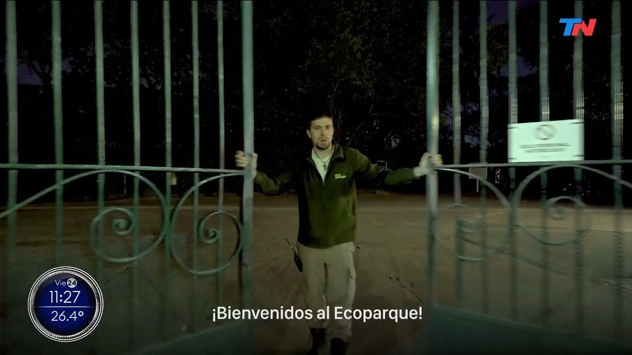Una noche entre elefantes, jirafas, guanacos y pumas en el centro de la Ciudad de Buenos Aires