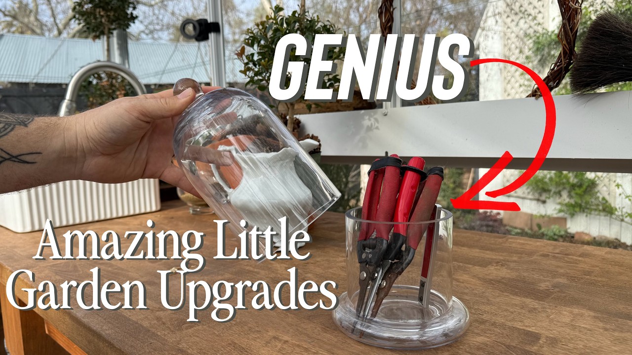 10 Little Garden LUXURIES  That Make Everyday Tasks Feel Special