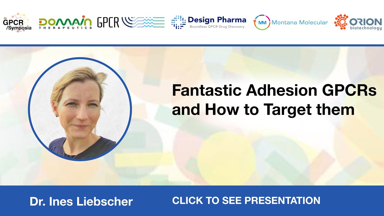 Fantastic Adhesion GPCRs and How to Target them - Dr. Ines Liebscher - Video Abstract