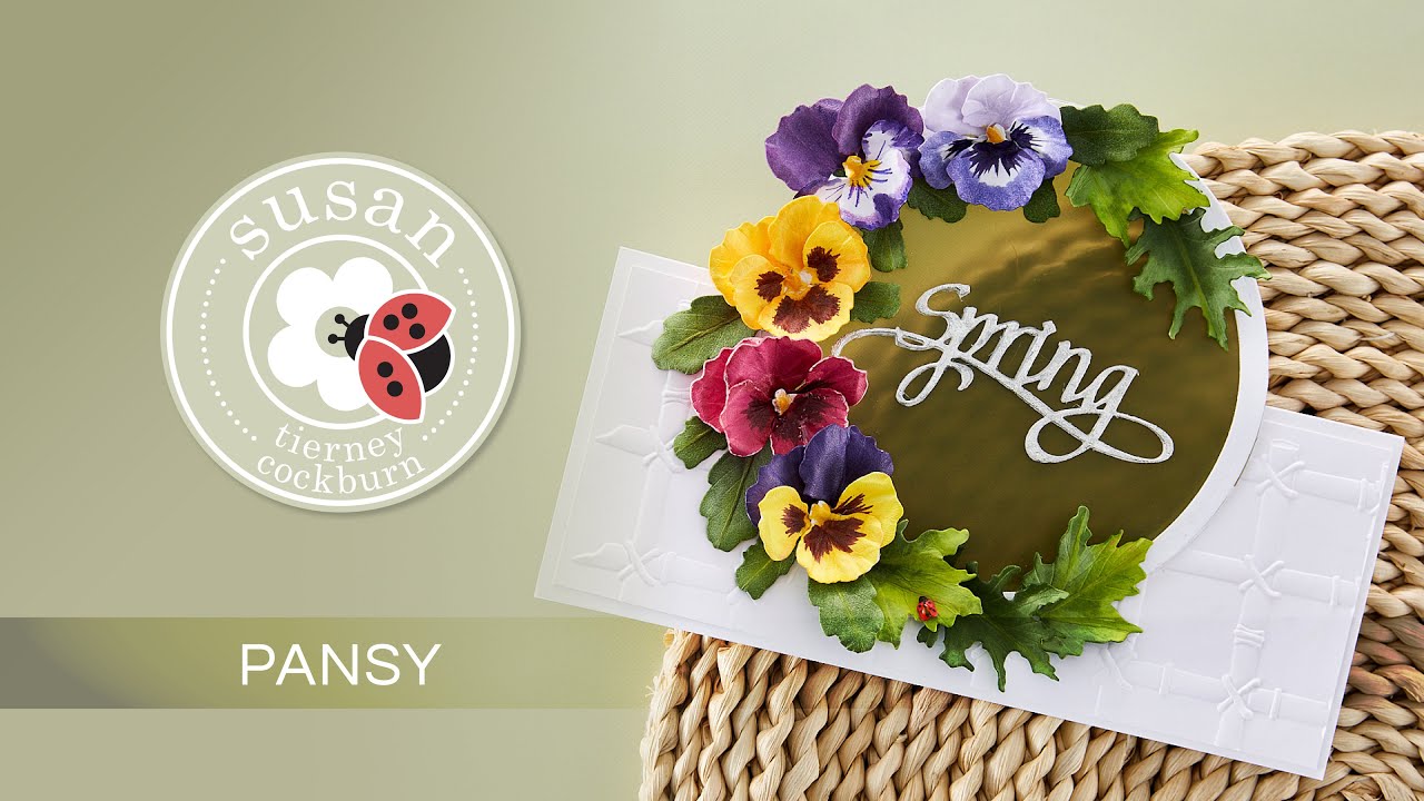 How to with Susan Tierney Cockburn - Pansy | Painter's Garden
