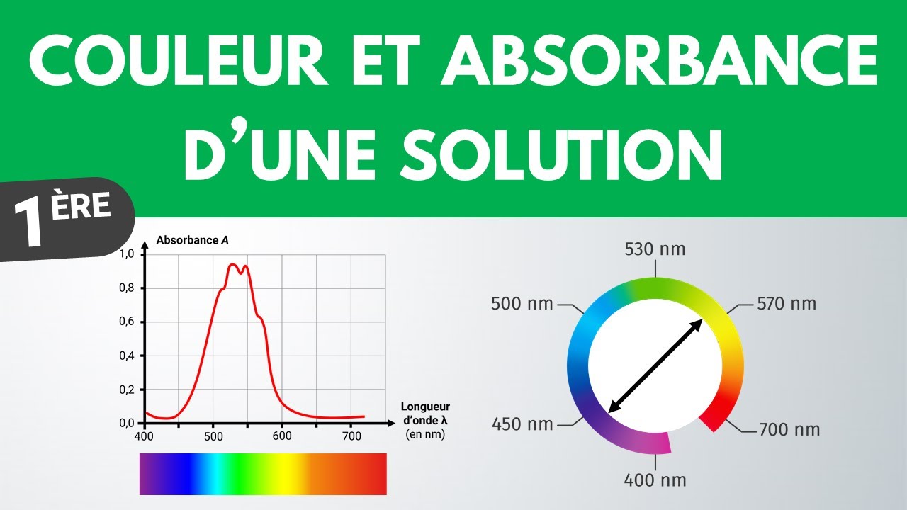 COULEUR et ABSORBANCE d'une solution | 1ère spé | Physique Chimie
