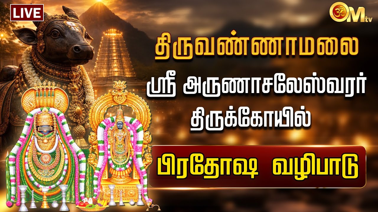 🔴Tiruvannamalai pradosham Live | ஸ்ரீ அருணாசலேஸ்வரர் திருக்கோயில் | Nandi abhishekam | OM TV