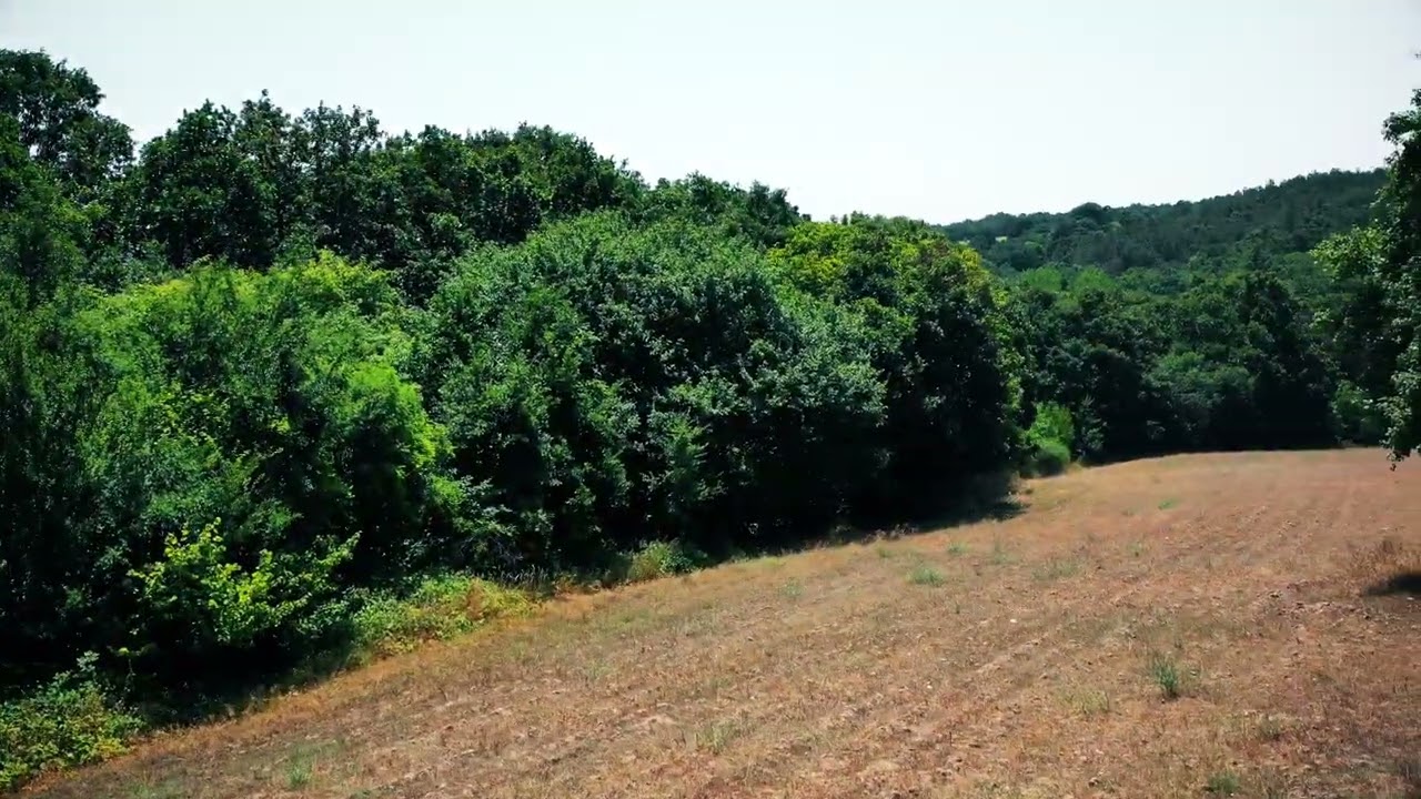 EMLAK DRONE &Ccedil;EKİMLERİ TRAKYA KIRKLARELİ MERKEZ KADIK&Ouml;Y'DE SATILIK M&Uuml;KEMMEL MANZARALI ARAZİ