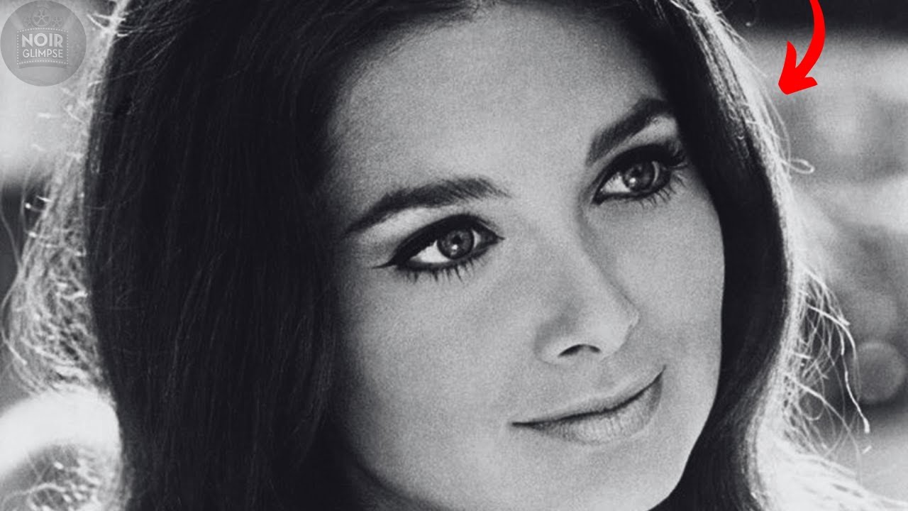 🌟 95 Rare Photos of Stunning Classic Hollywood Beauties You Missed – But Won’t Be Able to Look Away!