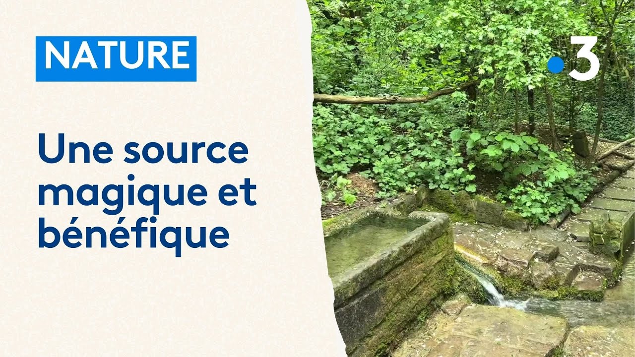 La source Saint-Ulrich et ses vertus thérapeutiques à Wittersheim