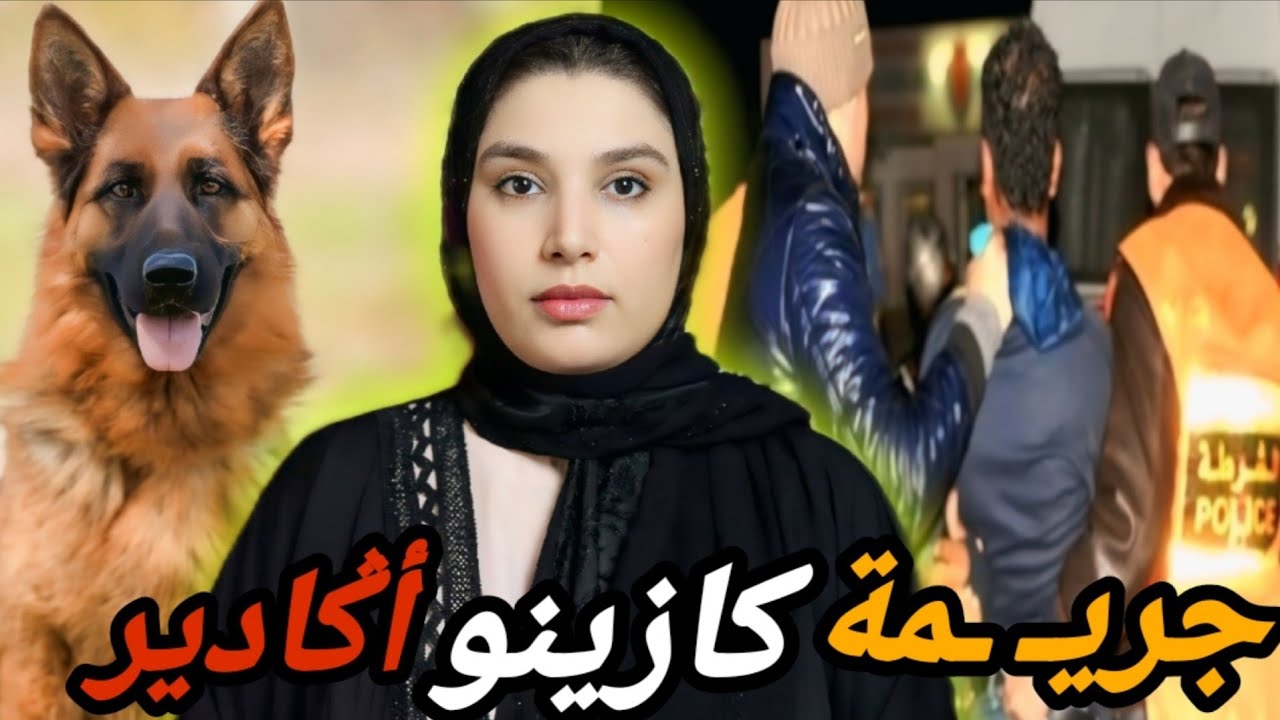اختـ ـطاف ابن رجال أعمال 🇲🇦 و سرقة كازينو مشهور😱 زغب الكلب يحل لغز القضية‼️(فيديوهات و صور حقيقية)