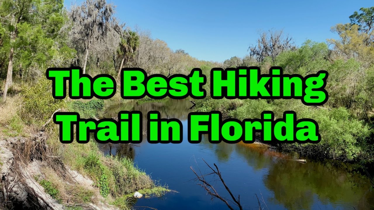 I Hiked the Best Hiking Trail in Florida