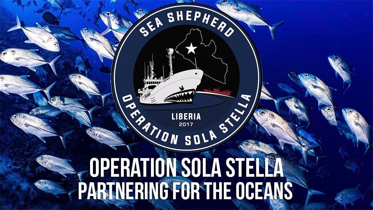 Partnering for the Oceans