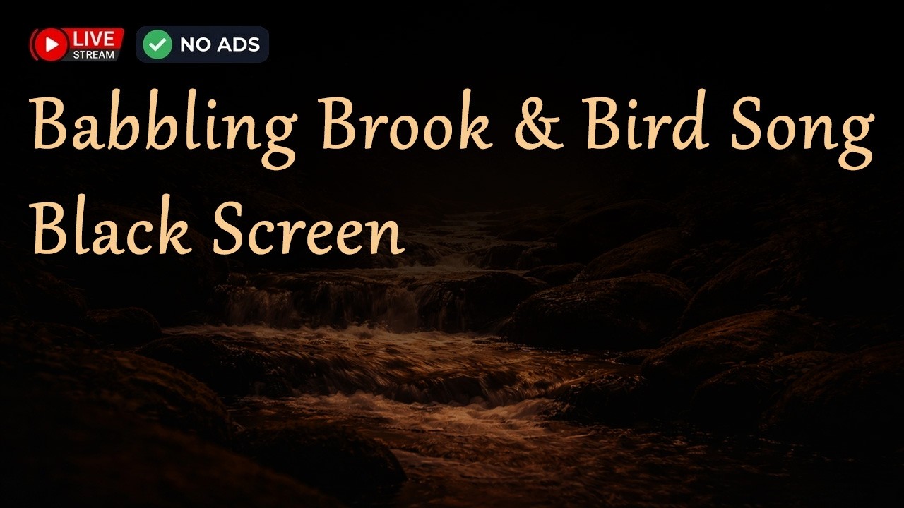 Forest Birds & Peaceful Brook Sounds for Sleeping - Black Screen (No Ads) - 24/7 Natural White Noise