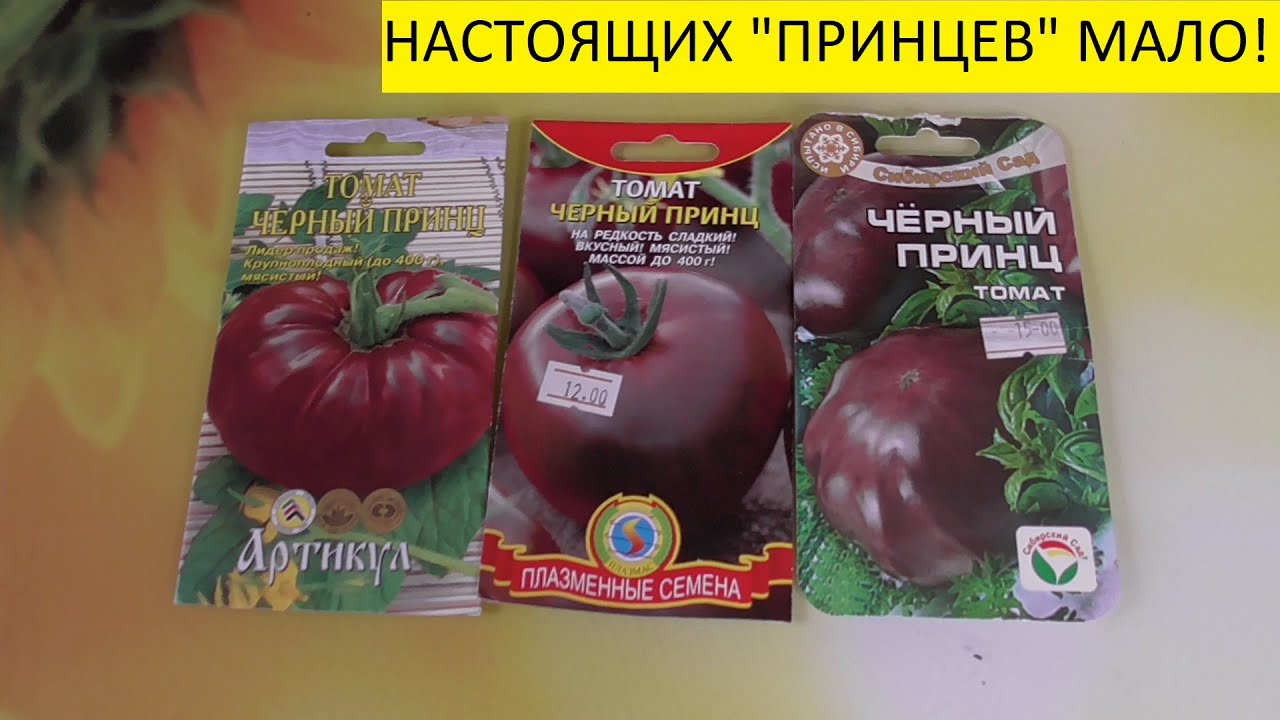 О ТОМАТЕ 