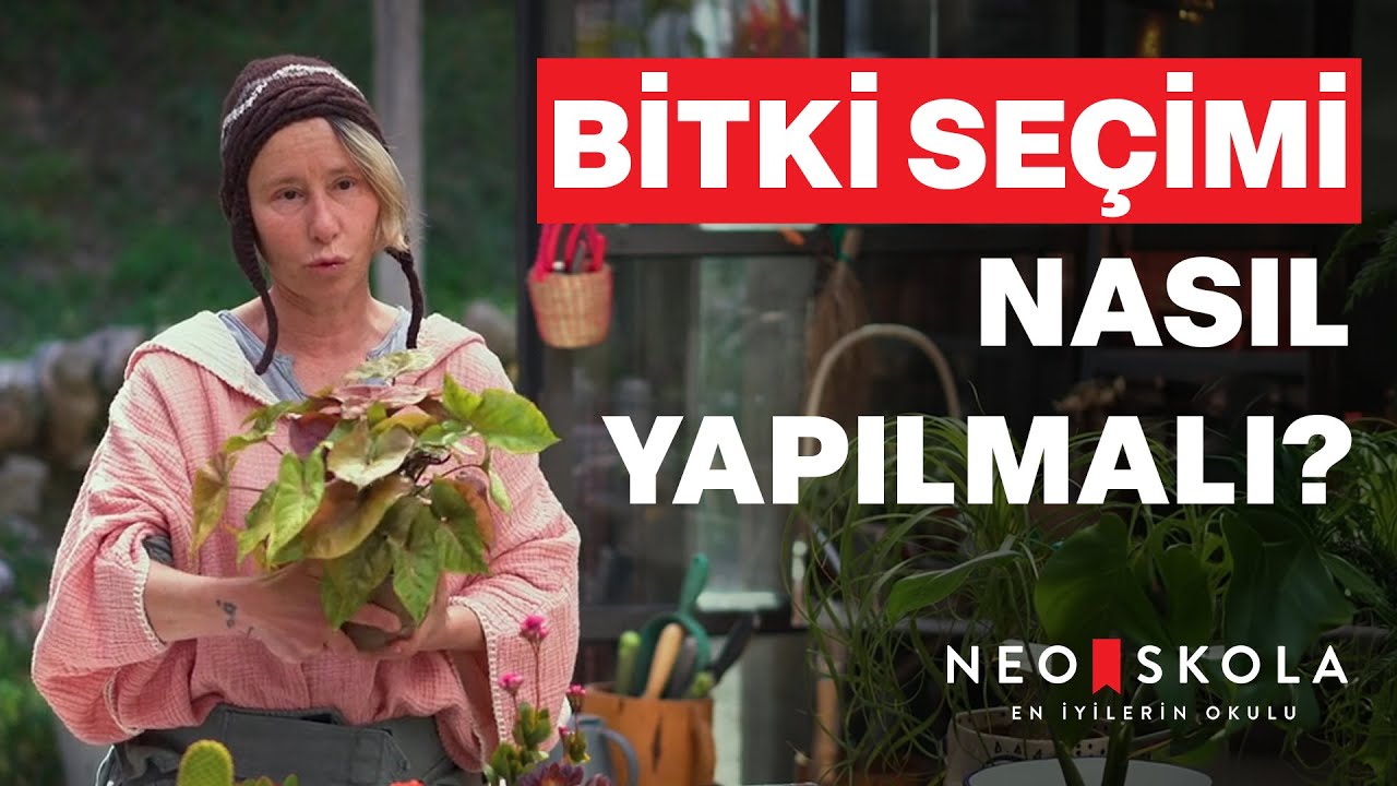 Bitki Seçimi Nasıl Yapılmalı? | Saksılı Bitkilerinizle İyi Geçinmenin Sırları | Fem Güçlütürk