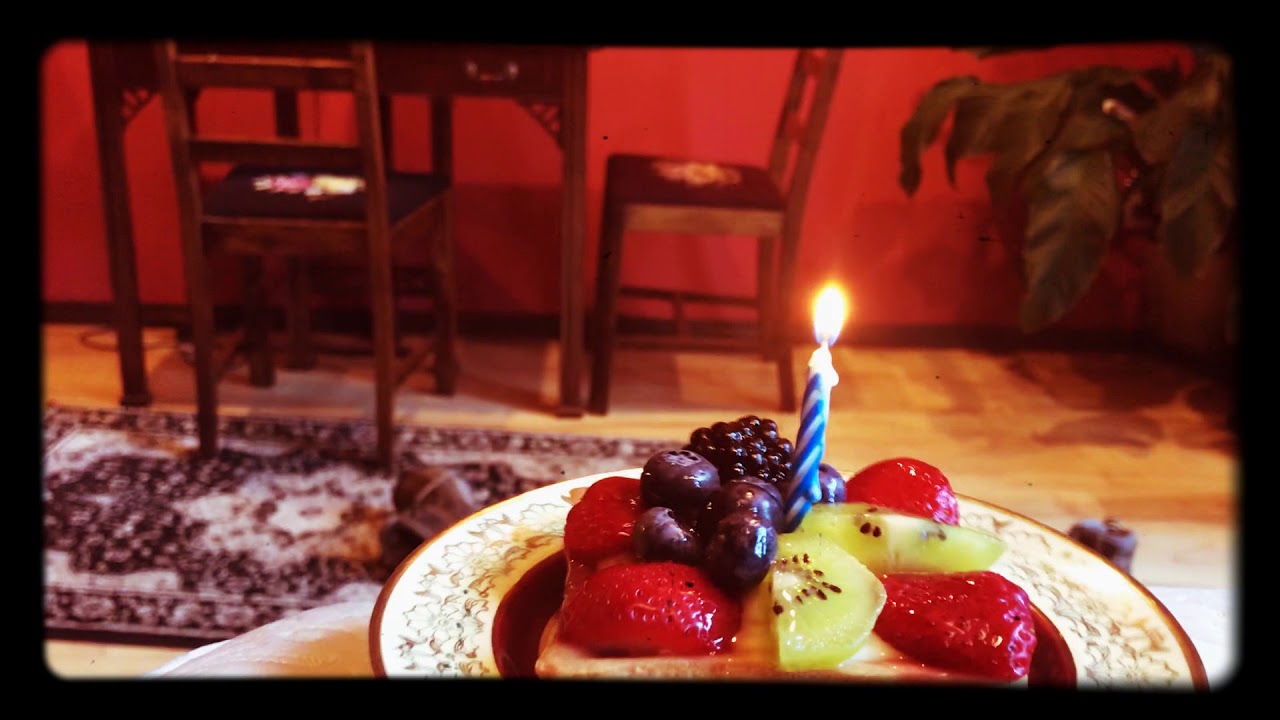 Green Cheek Conure&rsquo;s 6th Birthday