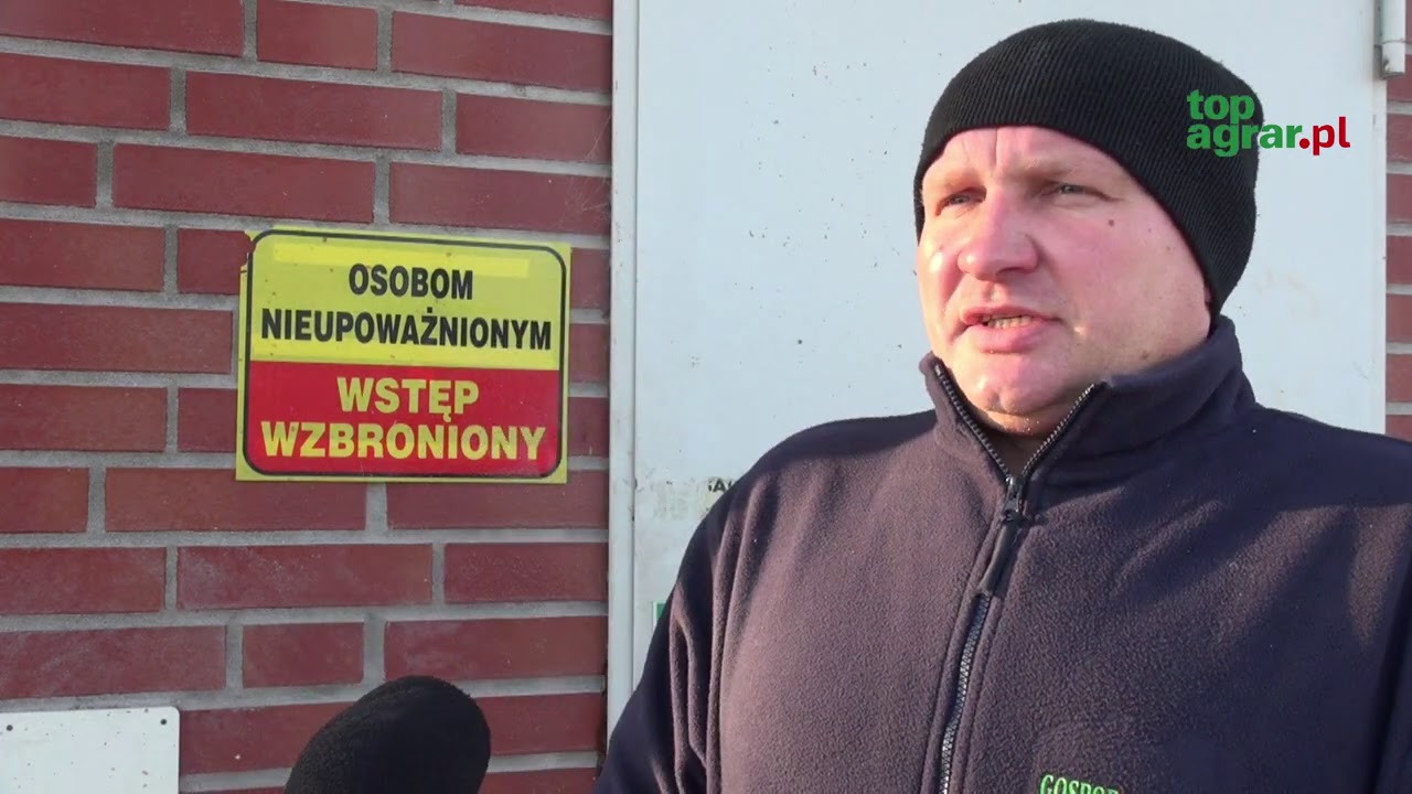 Tani dr&oacute;b &ndash; nad hodowcami widmo bankructwa