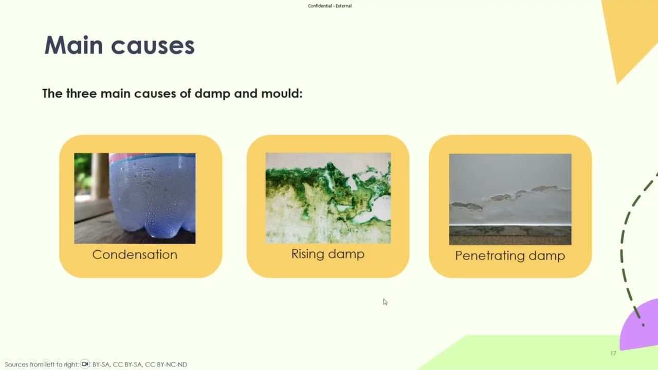 Managing Damp and Mould | RISE Masterclass
