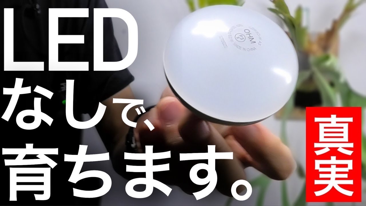 【LED不要説】