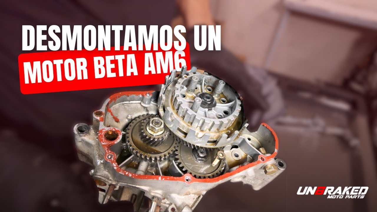 Cómo DESMONTAR un MOTOR AM6 de BETA | Paso a Paso + Trucos de Mecánica