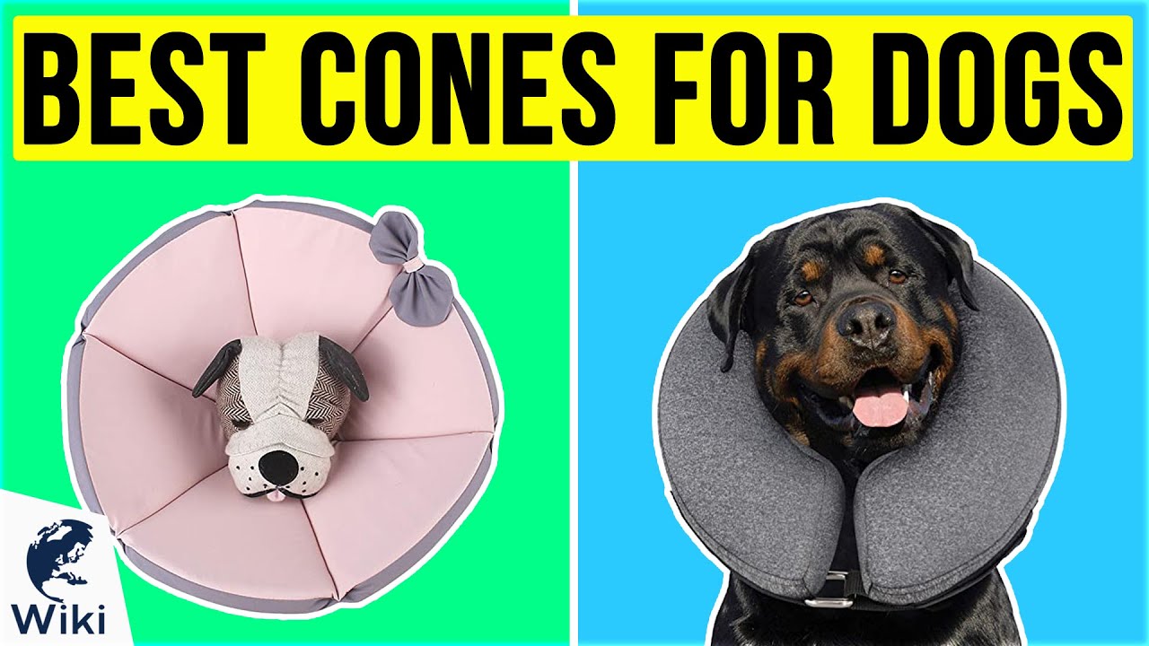 10 Best Cones For Dogs 2020