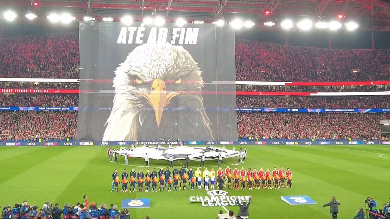 벤피카 챔스 플레이오프 오프닝 Benfica UCL playoff pre match : Ser Benfiquista, tifo  26.02.17 벤피카vs레알마드리드
