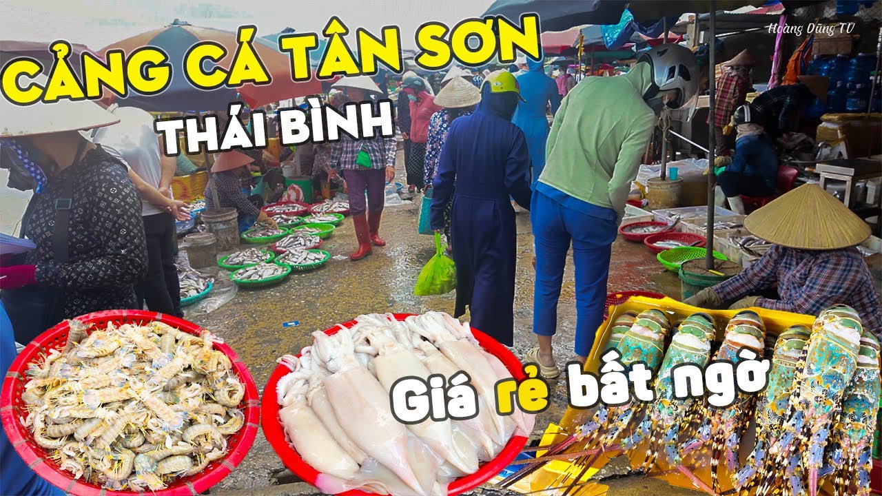 Đột nhập Cảng cá TÂN SƠN THÁI BÌNH-giá RẺ bất ngờ, hải sản tươi ngon