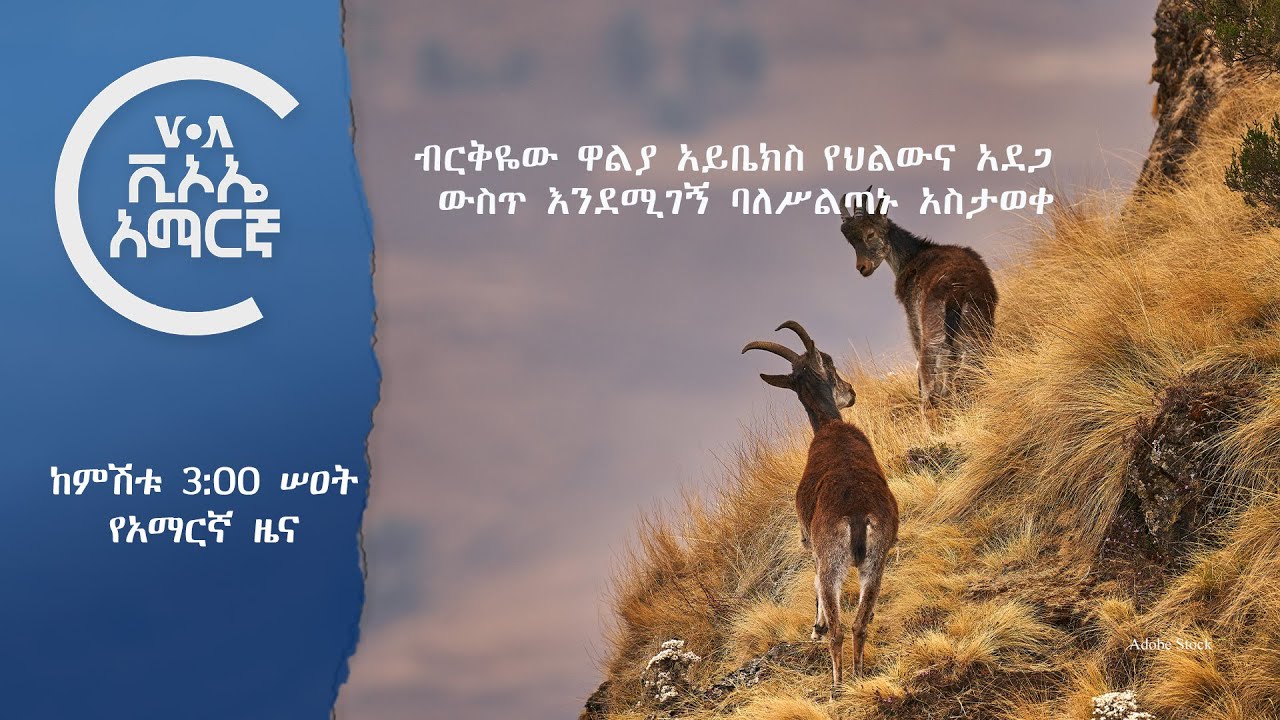 👉  የአሜሪካ ድምፅ የቀጥታ ሥርጭት የካቲት 6 ቀን 2017 ዓ.ም
