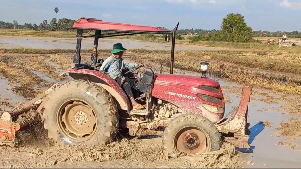 Tractor YANMAR Harrowing Soil At Rice Field, Tractor Ploughing Field For Agriculture Farmer Khmer