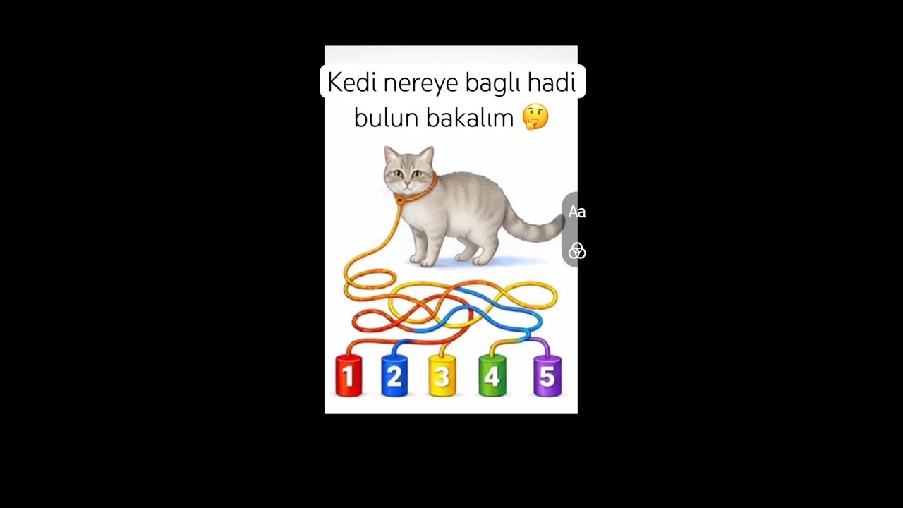 Sen bulursun kesin