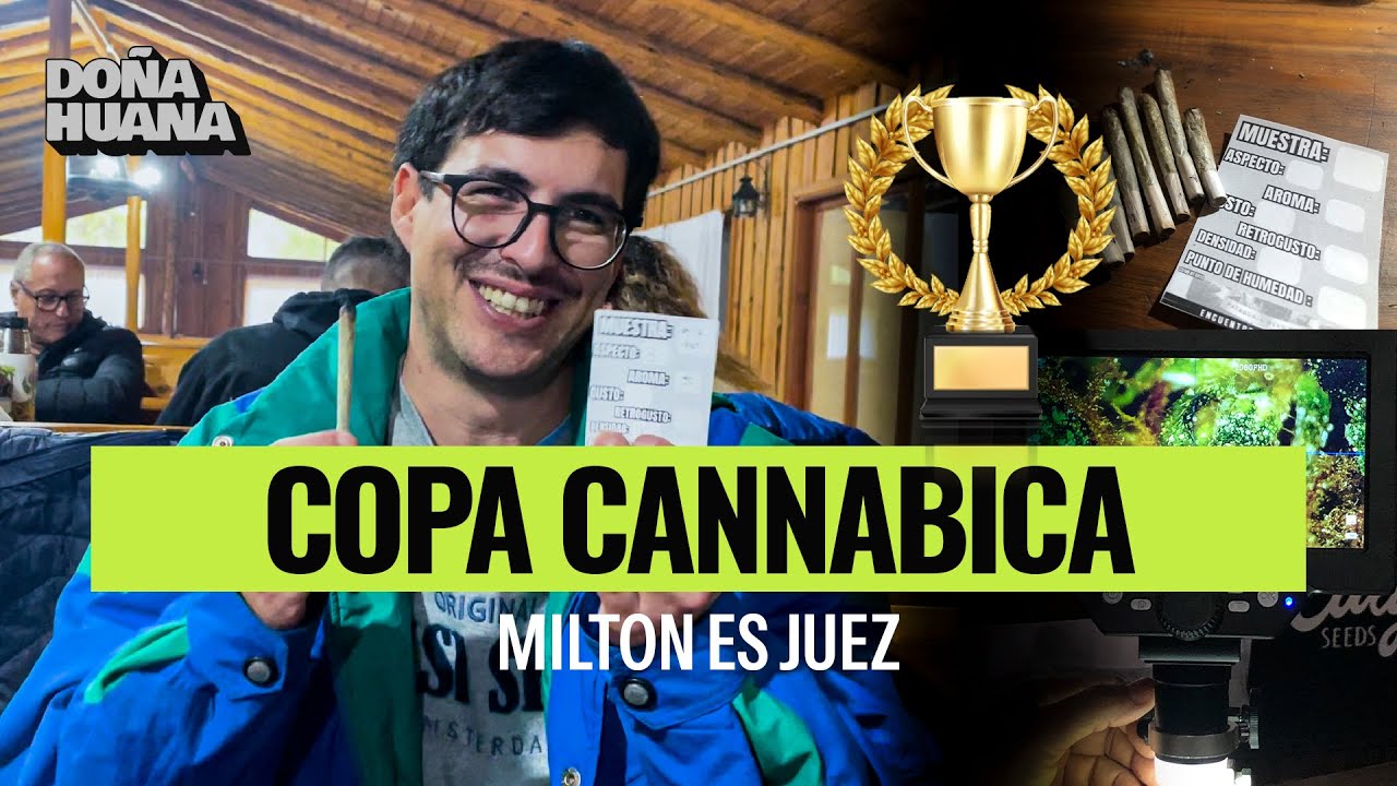 MILTON JURADO EN UNA COPA CANNABICA - EN EL BOLSON