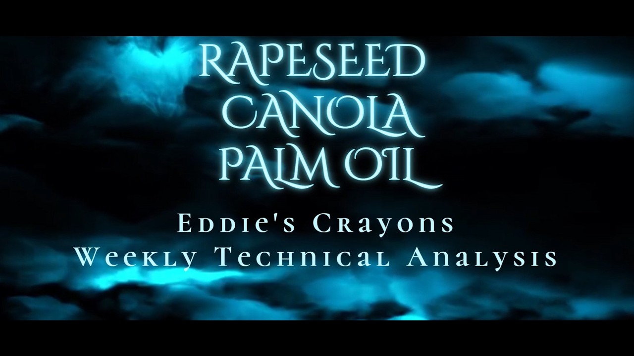 Weekly Technical Analysis of Rapeseed, Canola & Palm Oil – Eddie Tofpik’s Crayons  5 February 2026