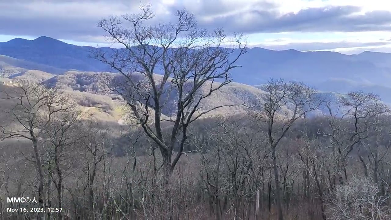 Plott Balsam Overlook Blue Rdg Pkwy NC