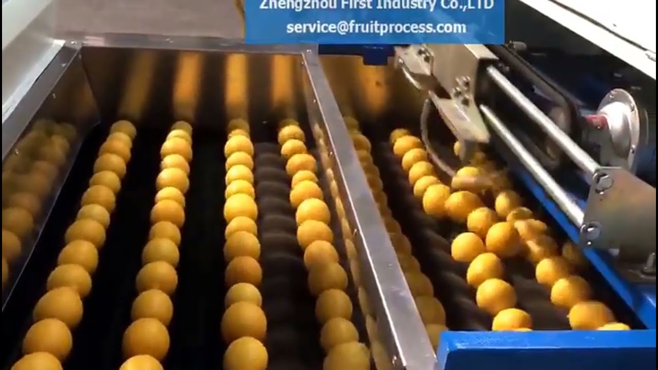 Machine for washing, draying, waxing, grading for Citrus, orange, mandarin, lemon, grapefruits