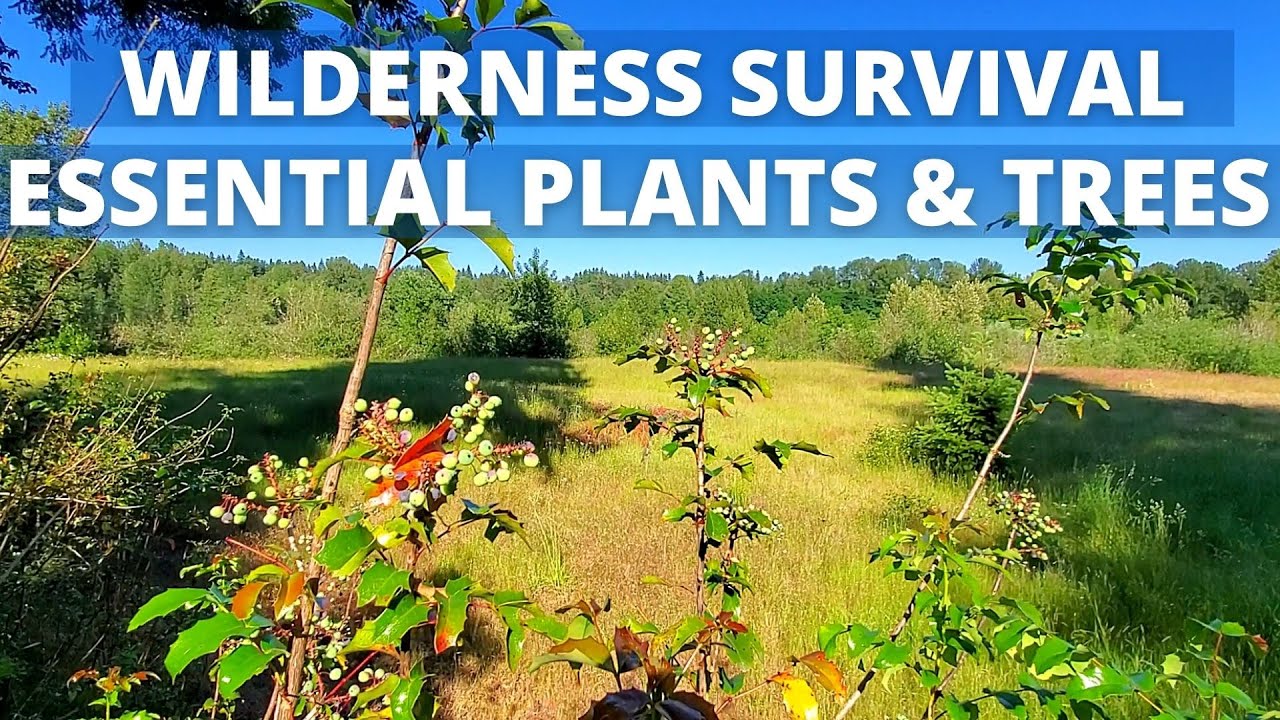 Ethnobotany | Essential Plants & Trees PNW