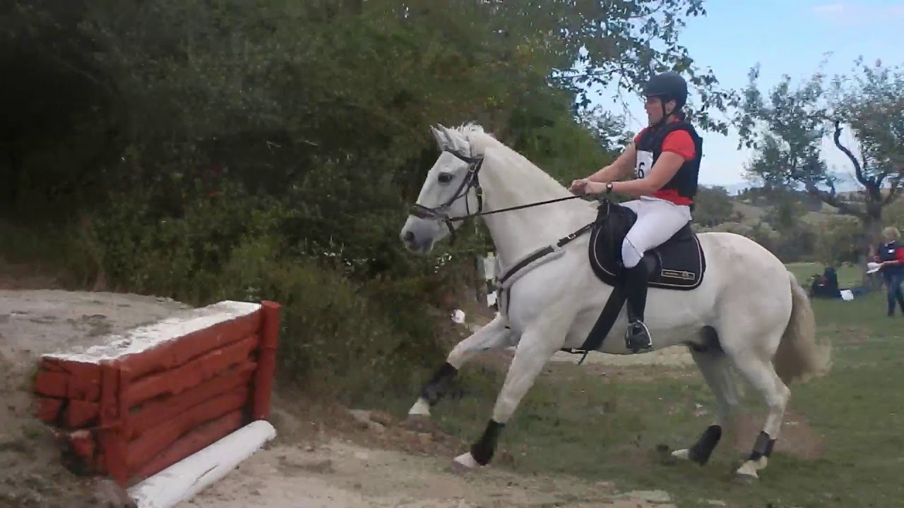 PTV Championnat de France de TREC Amateur 2019