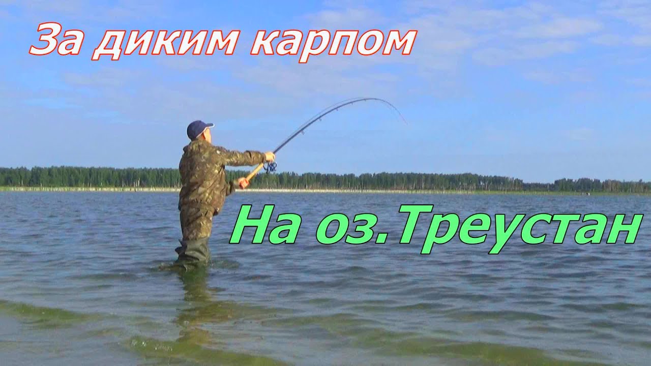 оз.Треустан карп гнет и таскает удочки.