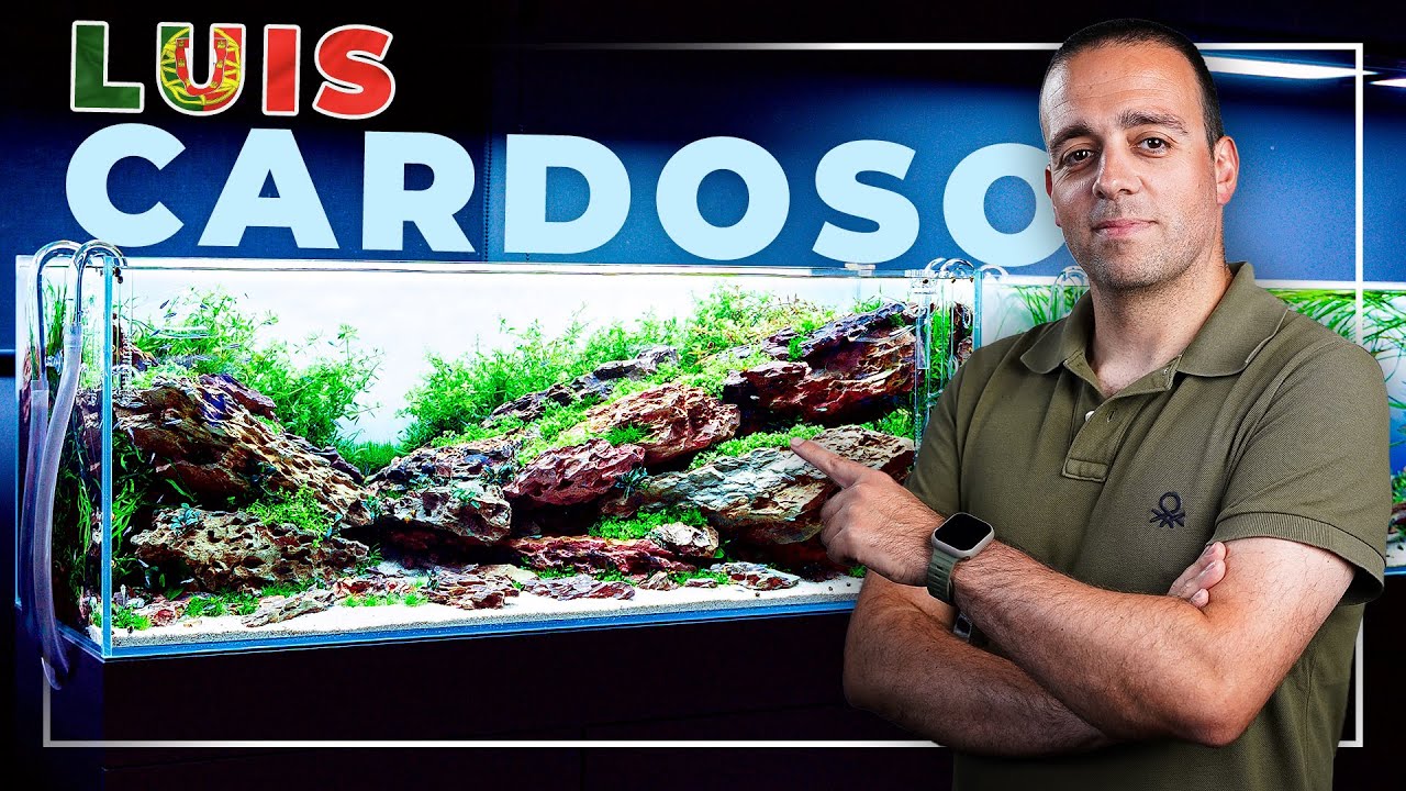 'AQUASCAPING IS MY THERAPY' - Luis Cardoso Workshop @ Green Aqua