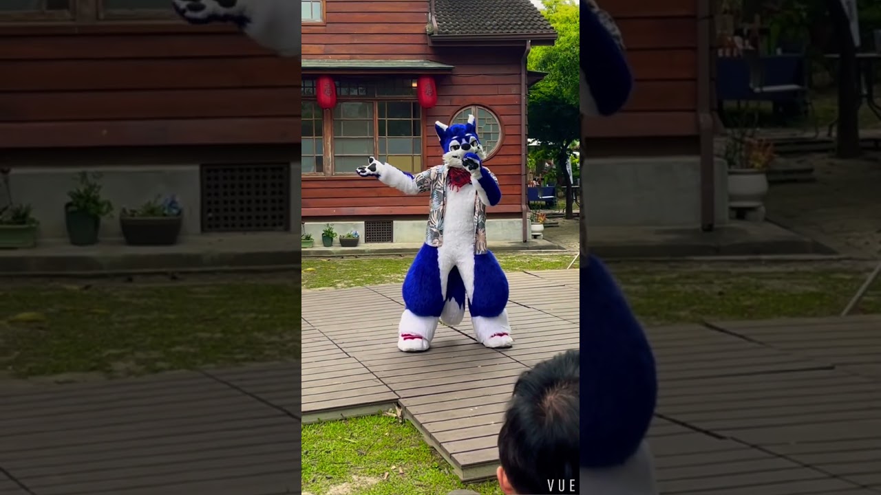 帕洛特 Paroto 2025 獸曜日 精華版演出 好好聽☺️ ​⁠#帕洛特 #Paroto #​⁠パロト