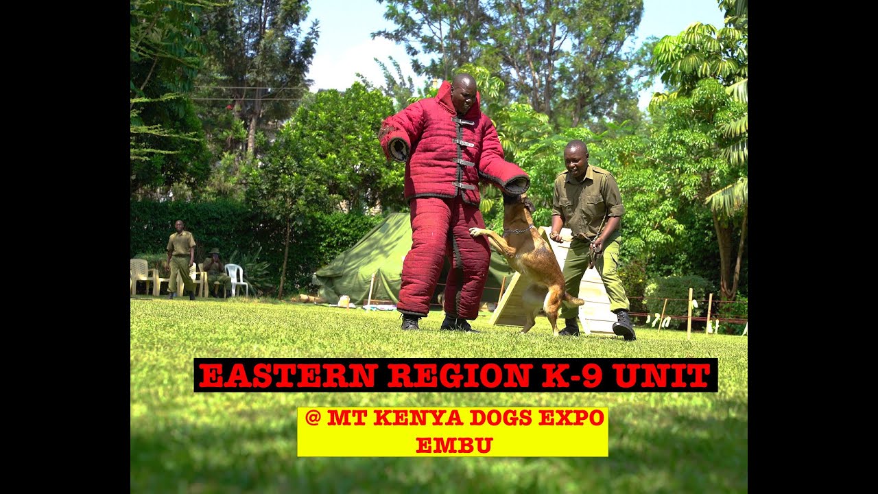 KENYA POLICE EASTER REGION K9 UNIT EMBU @ MT KENYA DOG EXPO