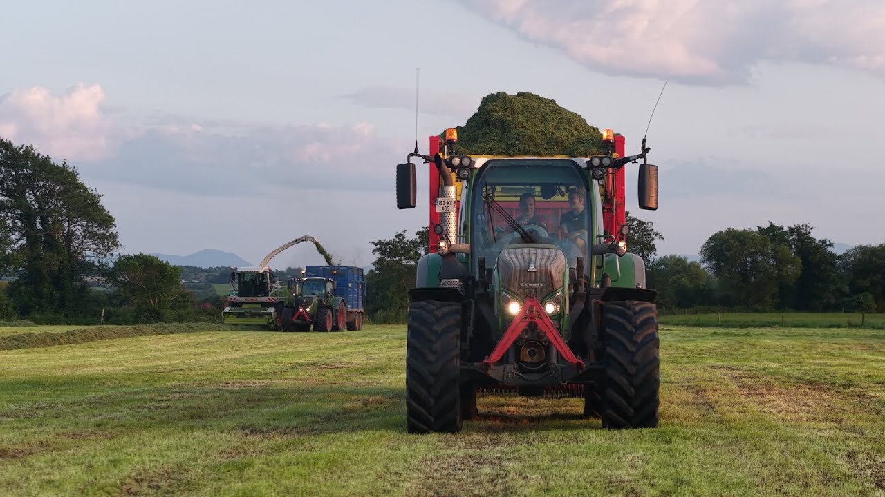 RANALEEN HOLSTEINS ~ SILAGE 2025