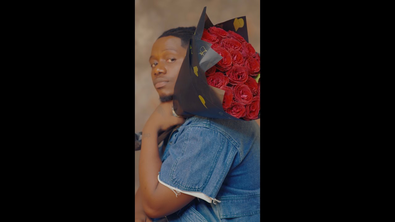 Rayvanny - No Stress (Official Visualizer)