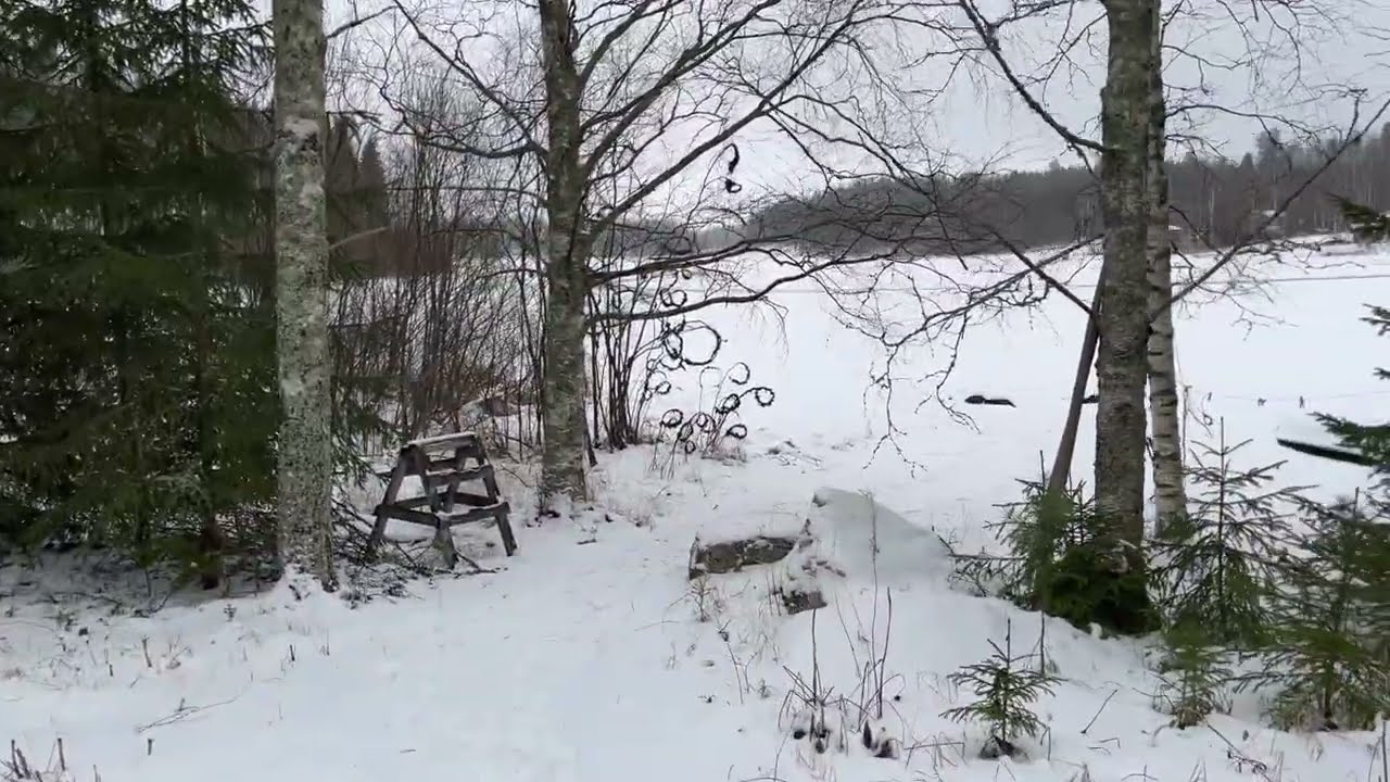 Walking SUNDAY 18.1.2026 no talking, just walking @slowTVFinland 