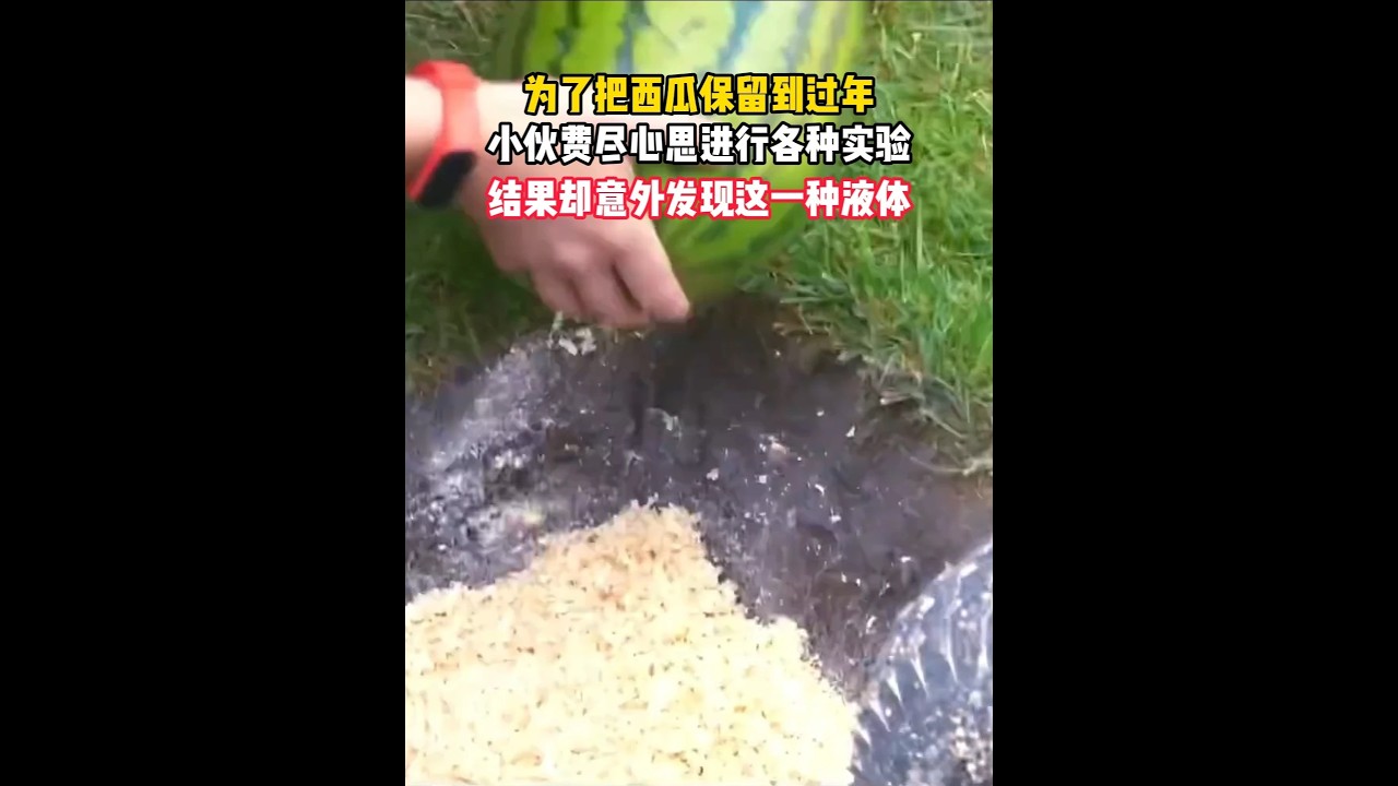 为了把西瓜放到过年，小伙费尽心思进行试验，结果意外发现...#科普 #科普一下 #苏打水 #饮料推荐 #好水推荐
